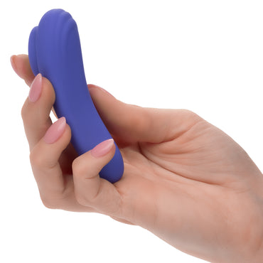 CalExotics Connect® Panty Teaser