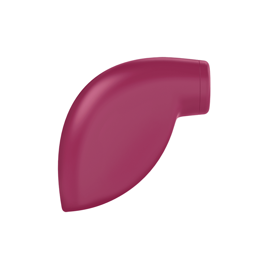 Satisfyer One Night Stand