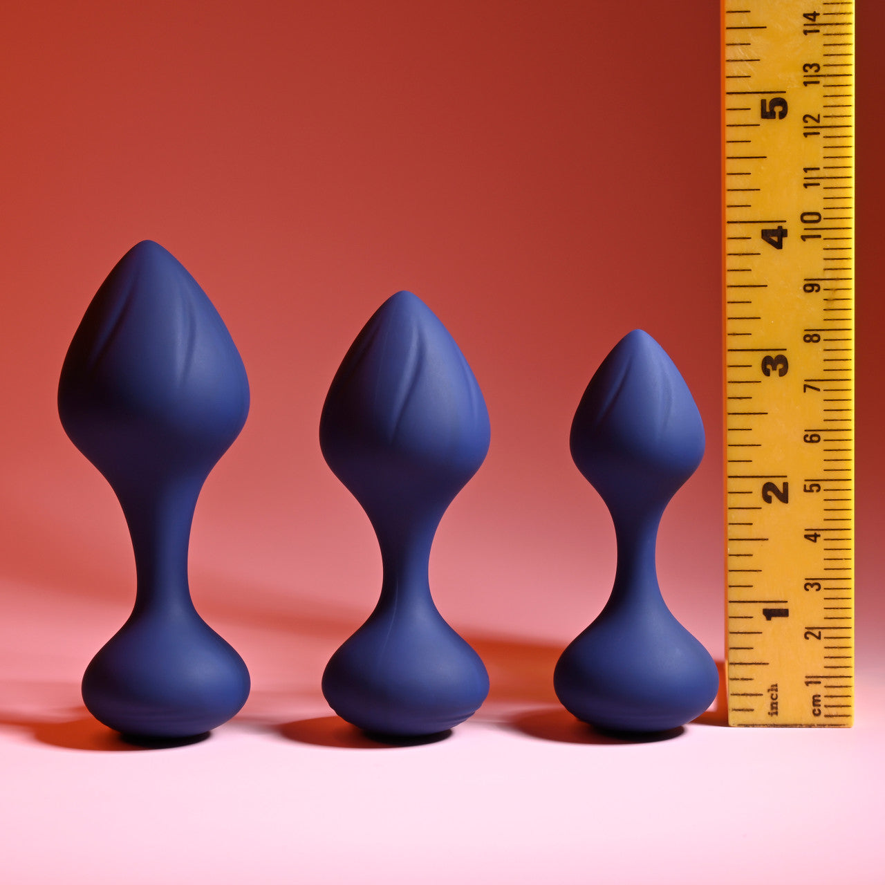 Tail Trainer Anal Kit