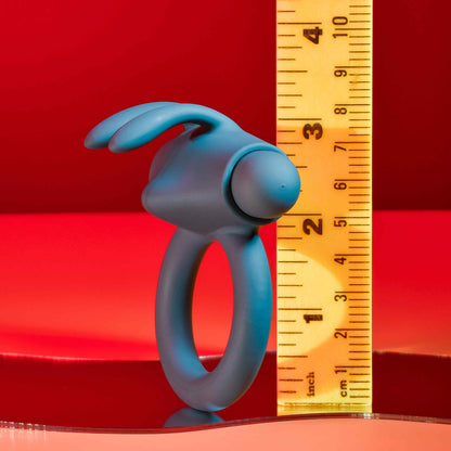 Bunny Buzzer