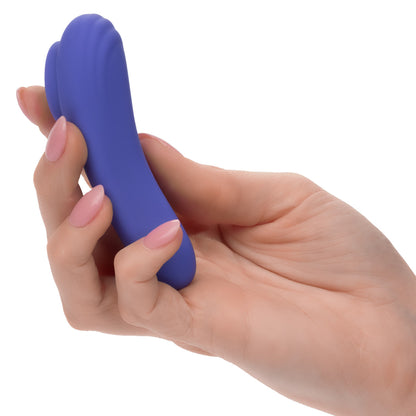 CalExotics Connect® Panty Teaser