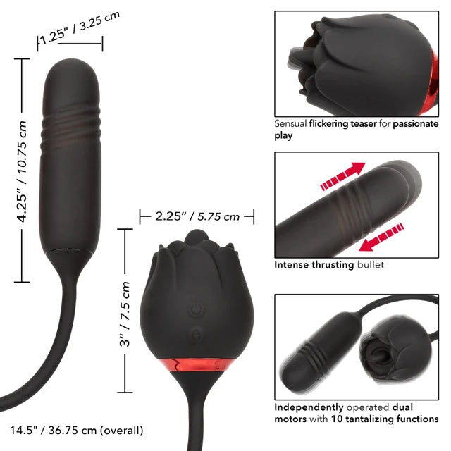 French Kiss® Elite Romeo Vibe
