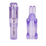 Shane's World Pocket Party - Purple