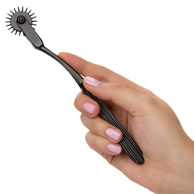 Boundless® Pleasure Wheel