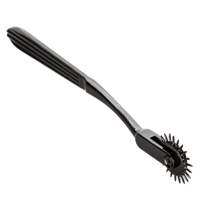 Boundless® Pleasure Wheel