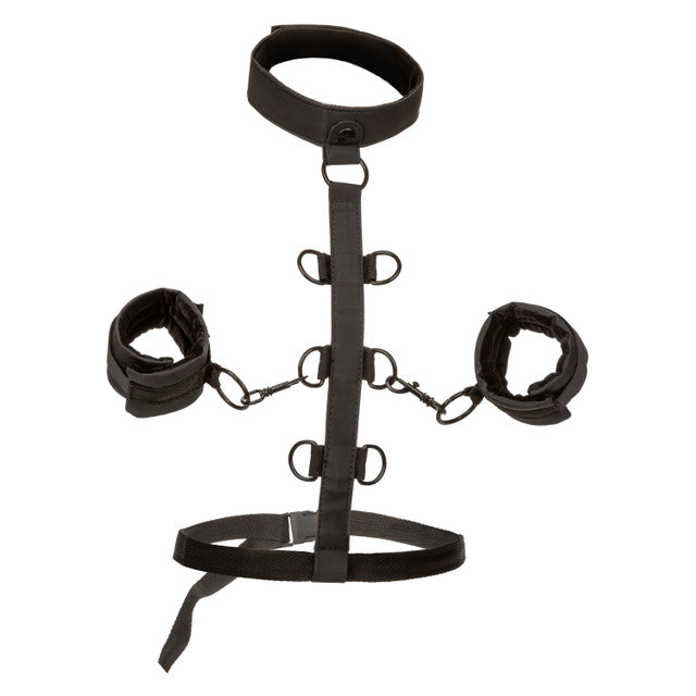 Boundless® Collar Body Restraint